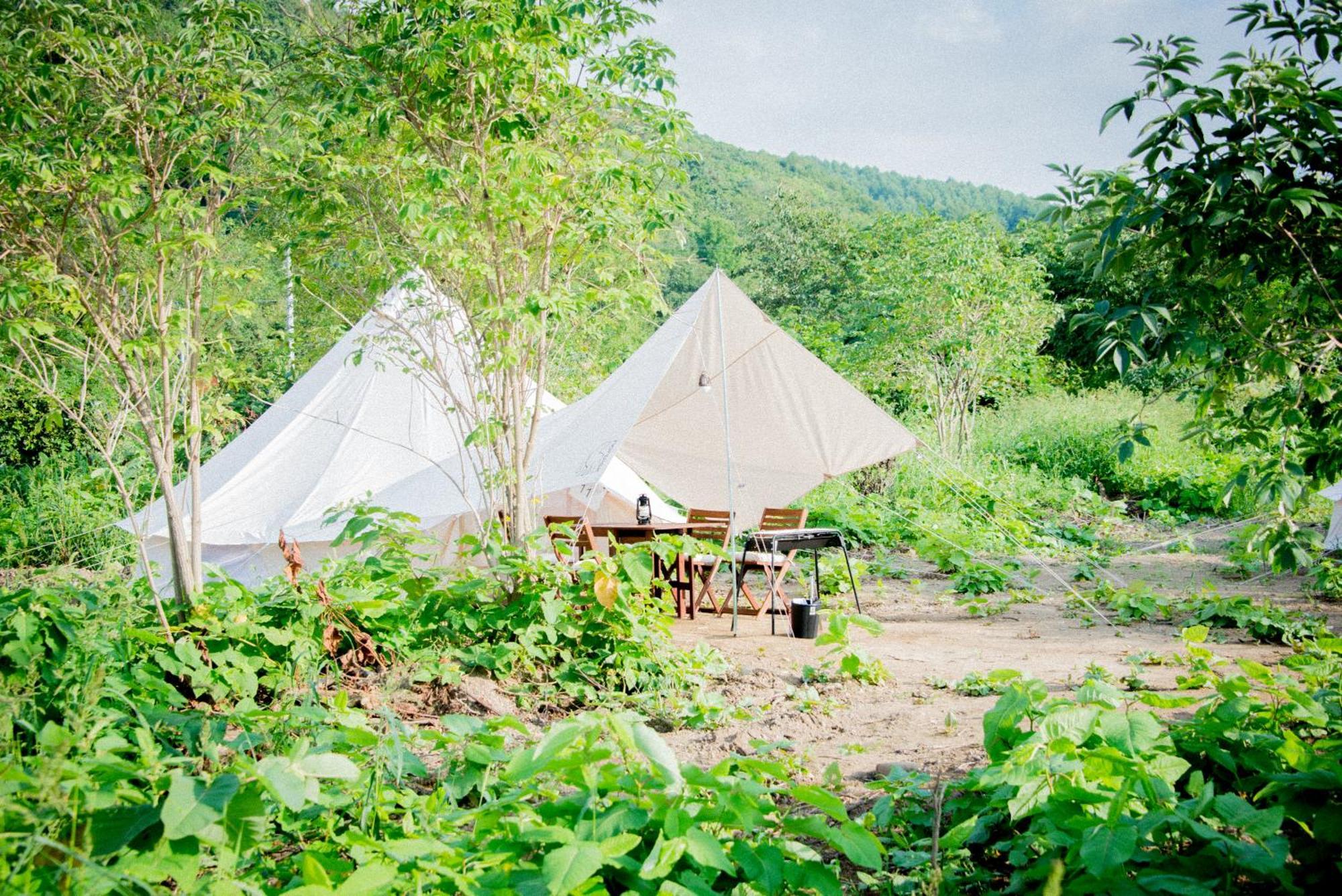 מלון Yoichi Vineyard Glamping מראה חיצוני תמונה